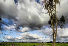 九游娱乐网页-阿尔艾因主场迎战帕尔梅拉斯，锋线火力引爆看点