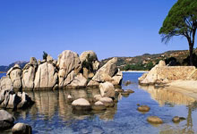 九游娱乐网站-西雅图海湾者技战术演练密集，冲刺冠军全力以赴