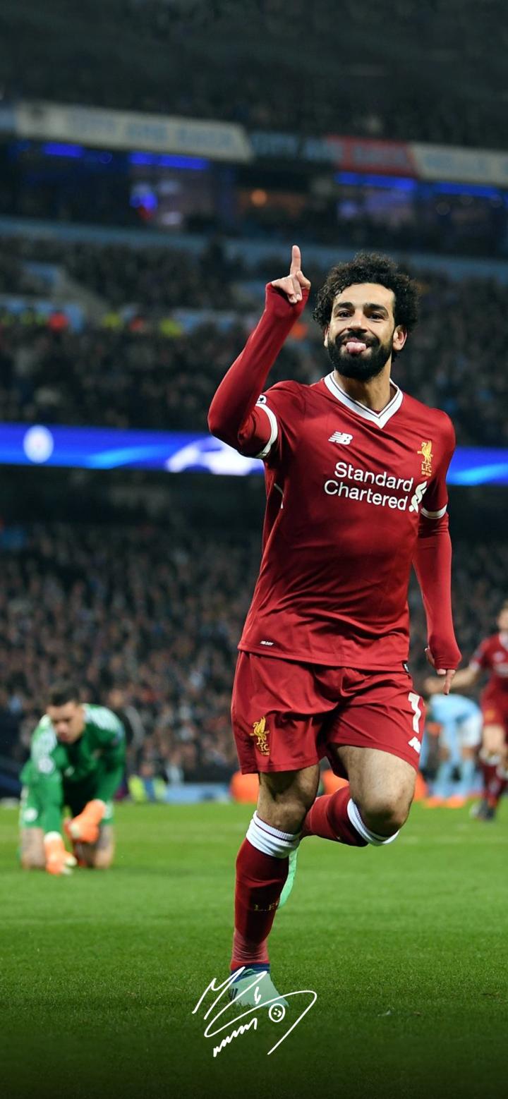 包含埃及足球名将转投巴甲：新赛季展现实力的词条