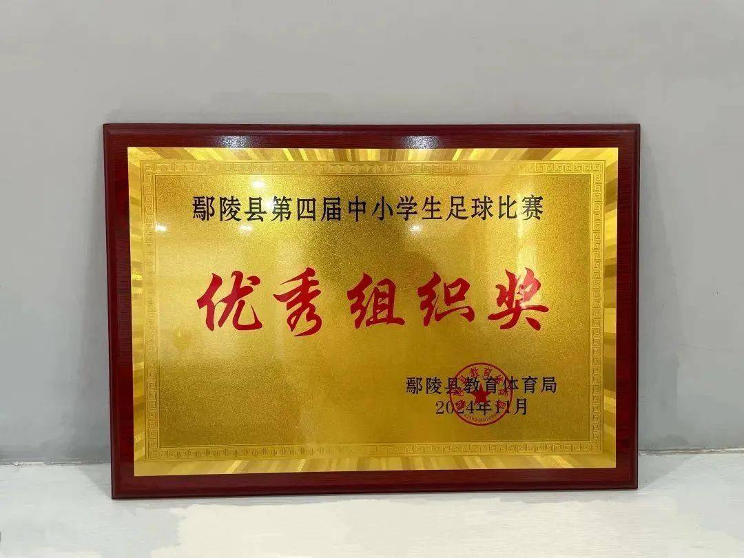 足球职业联赛总冠军由某队夺得，创下佳绩的简单介绍