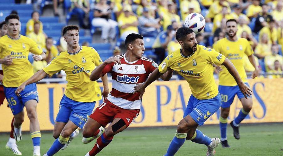 佛罗伦萨主场击败帕尔马，保级形势略有好转